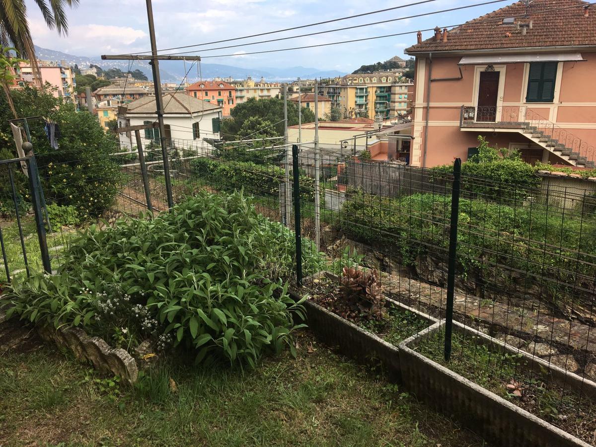 Casa Emanuele Διαμέρισμα Σάντα Μαργκερίτα Λιγκούρε Εξωτερικό φωτογραφία